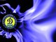 futbol-v-krovi-dinamo-v-serdtse