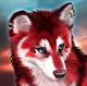 wolfy