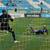 Украина U-21 - Турция U-21 1:0. Мемориал Лобановского